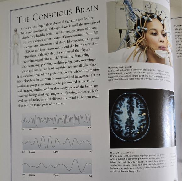 🩻 Atlas Of The Human Body Hardcover Book - Picture 9 of 16